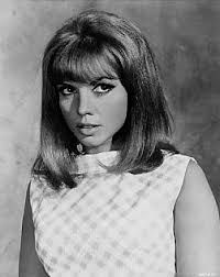 Jocelyn Lane