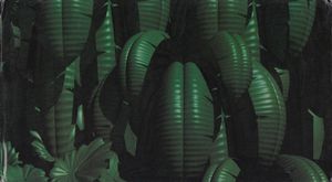 Donkey Kong Country: Exposed