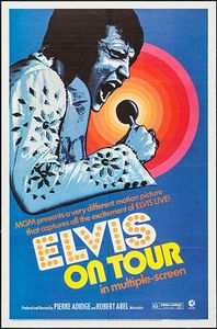 Elvis On Tour