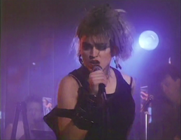 Madonna: Gambler