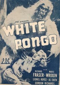 White Pongo