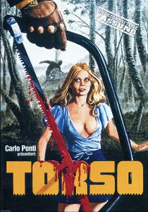 Torso