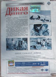 Дикая Собака Динго