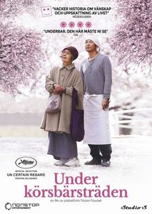 Under Körsbärsträdet