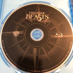 Fantastic Beasts And Where To Find Them
