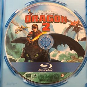 How To Train Your Dragon 2