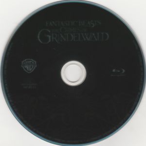 Fantastic Beasts: The Crimes of Grindelwald