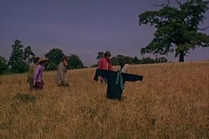 Pink Floyd: The Scarecrow