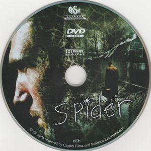 Spider