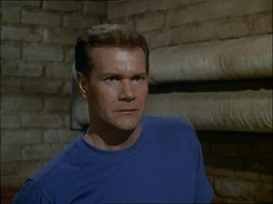 Robert Gray
