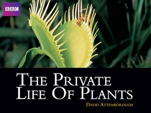 The Private Life of Plants