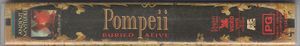 Pompeii Buried Alive