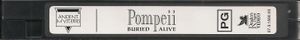 Pompeii Buried Alive