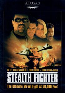Stealth Fighter