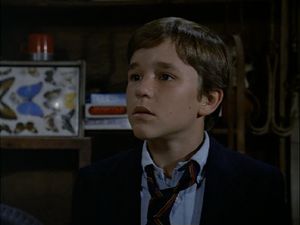 Adam Ferris