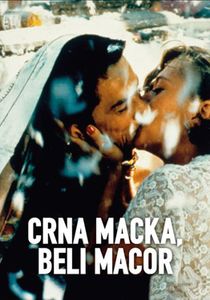 Crna Mačka, Beli Mačor