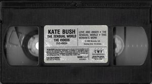 The Sensual World - Kate Bush: The Videos
