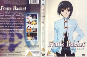 Fruits Basket: What Becomes of Snow?