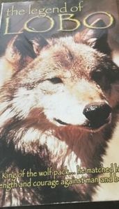 The Legend Of Lobo