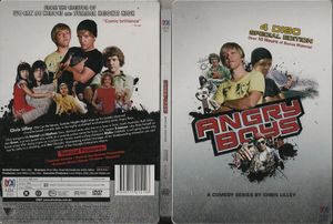 Angry Boys