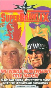 WCW SuperBrawl IX