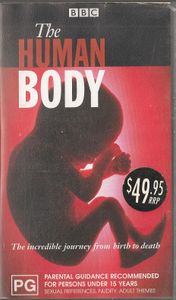 The Human Body