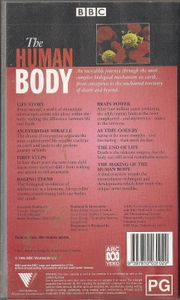 The Human Body