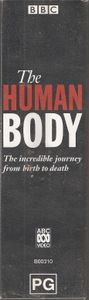 The Human Body