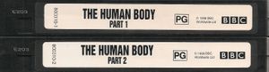The Human Body
