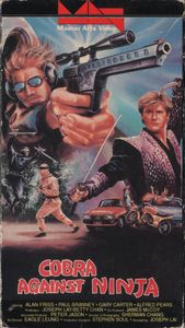 Cobra Against Ninja