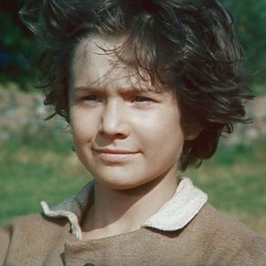 Алексей Подгорнов