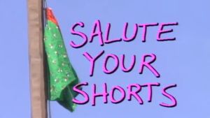 Salute Your Shorts