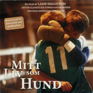Mitt Liv Som Hund