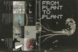 From Plant To Plant