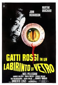 Gatti Rossi In Un Labirinto Di Vetro