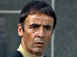 Lee Bergere