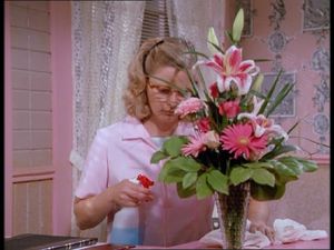 If It's Thursday, It Must Be Beverly