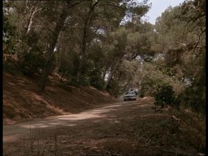Trouble In Eden