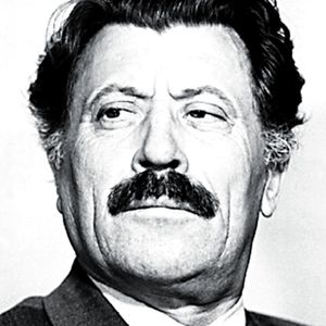Александр Самулекин