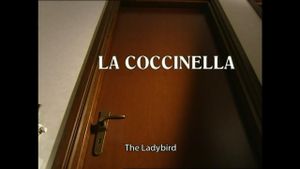 La Coccinella
