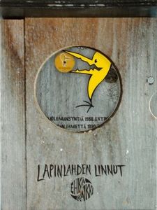 Lapinlahden Linnut - Ehkä kaikki