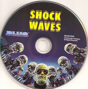 Shock Waves