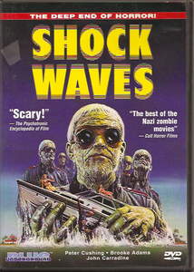 Shock Waves