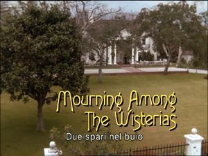 Mourning Among The Wisterias