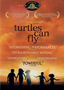 Turtles Can Fly