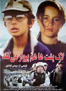 لاک‌پشت‌ها هم پرواز می‌کنند