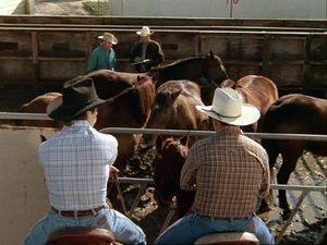 Showdown in Saskatchewan 