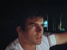 Paul Le Mat