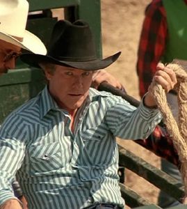 Larry Wilcox