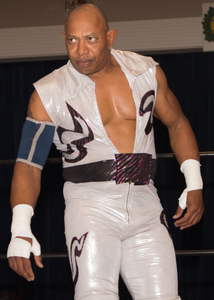 Too Cold Scorpio